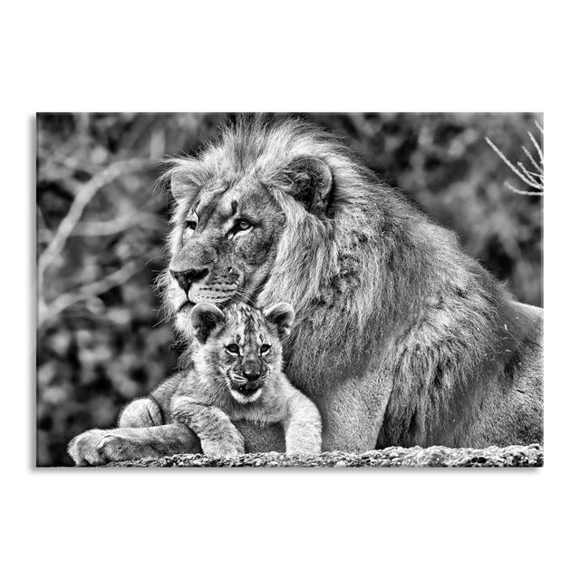 Dear Lion With Cub - No Frame Print on Glass 17 Stories Size: 60cm H x 80cm W x 0.4cm D on Productcaster.