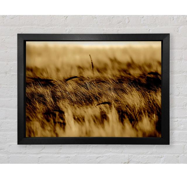 Wheatfield Sepia - Single Picture Frame Art Prints Bright Star Size: 42cm H x 59.7cm W x 3.4cm D on Productcaster.