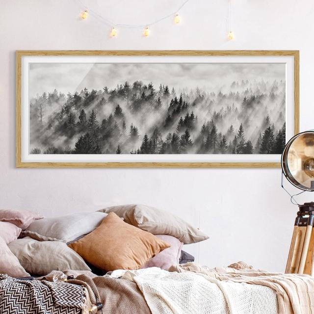 Light Rays in the Coniferous Forest - Picture Frame Photograph Union Rustic Frame Option: Brown Framed, Size: 50cm H x 130cm W x 2cm D on Productcaster.