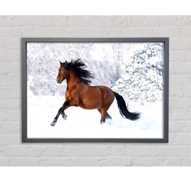 Racing Horse Framed Print Bright Star Size: 59.7cm H x 84.1cm W x 3.3cm D on Productcaster.