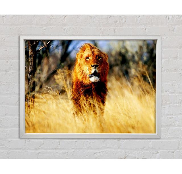 Lion Jungle - Print Ebern Designs Size: 100cm H x 141.4cm W x 3.3cm D on Productcaster.