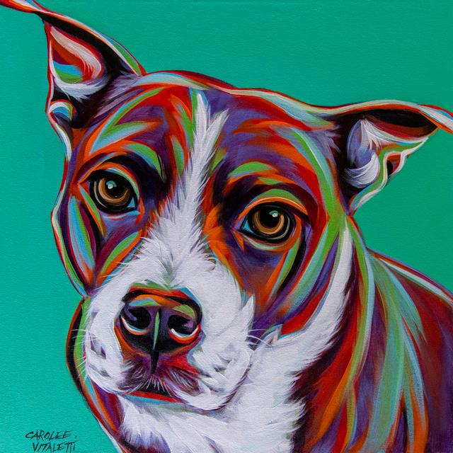 Kaleidoscope Dog I by Carolee Vitaletti - No Frame Print on Canvas Rosalind Wheeler Size: 76cm H x 76cm W x 3.8cm D on Productcaster.