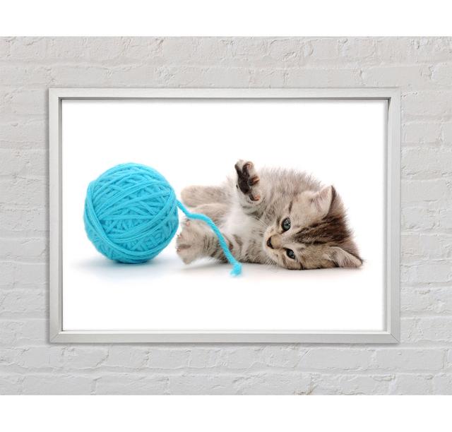 Kitten Cat Fun - Single Picture Frame Art Prints on Canvas Bright Star Size: 100cm H x 141.4cm W x 3.3cm D on Productcaster.