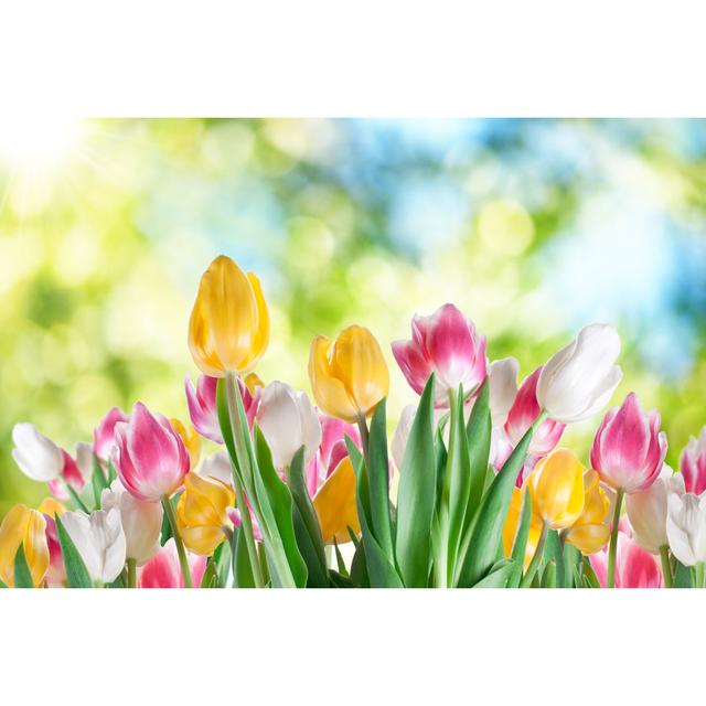 Tulips Background by ValentynVolkov - Wrapped Canvas Print Marlow Home Co. Size: 81cm H x 122cm W on Productcaster.