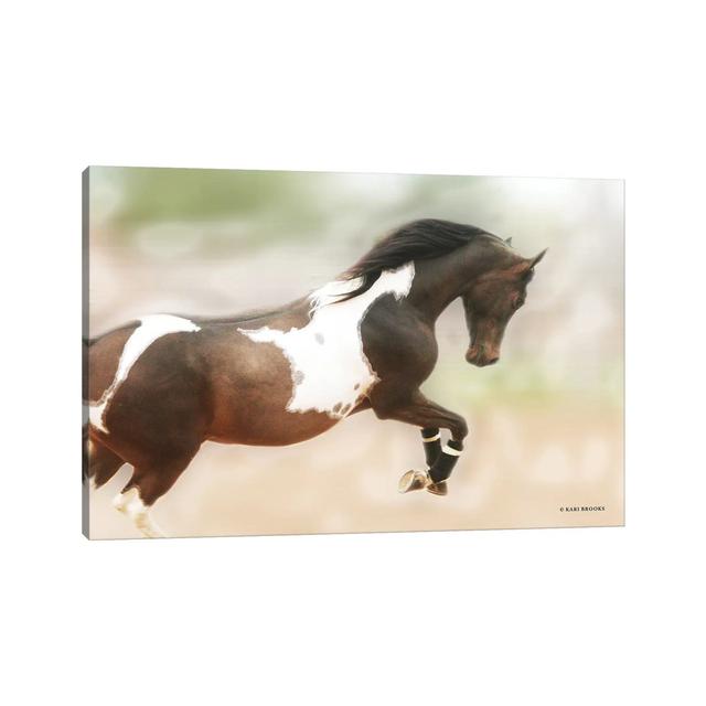 A Wild Kookie by Kari Brooks - Wrapped Canvas Photograph Natur Pur Size: 20.32cm H x 30.48cm W x 1.905cm D on Productcaster.