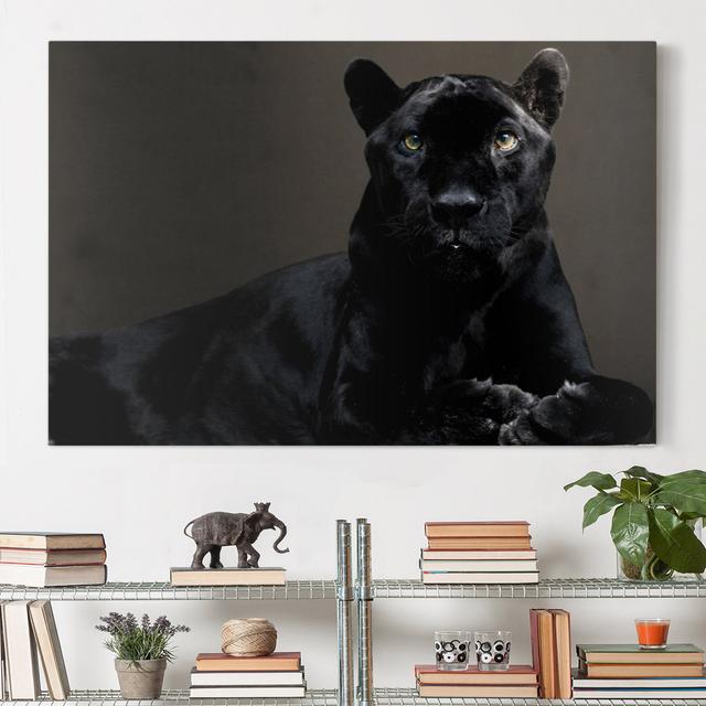 Black Puma - Wrapped Canvas Photograph Ebern Designs Format: Recycled Canvas 330g/m², Size: 60cm H x 90cm W on Productcaster.