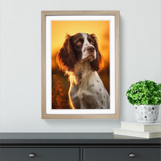 English Springer Spaniel Colour Field - Single Picture Frame Print on Wood 17 Stories Size: 64cm H x 46cm W x 2cm D, Frame Colour: Oak on Productcaster.