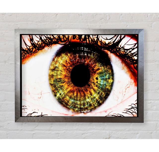 Big Eye - Single Picture Frame Art Prints Bright Star Size: 59.7cm H x 84.1cm W x 3.4cm D on Productcaster.