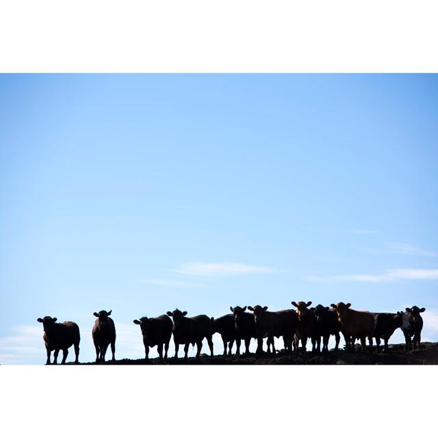 Group Of Cows by Piccaya - Wrapped Canvas Print Brambly Cottage Size: 51cm H x 76cm W on Productcaster.