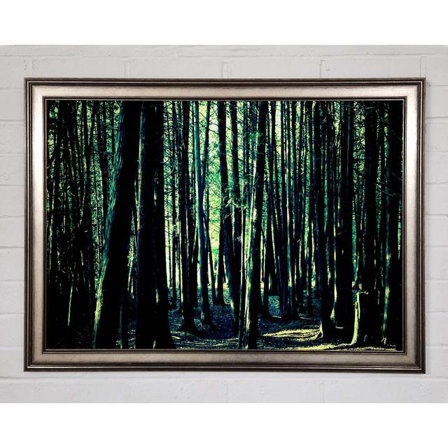 Emerald Green Woodland - Single Picture Frame Art Prints Union Rustic Size: 29.7cm H x 42cm W x 1.5cm D on Productcaster.