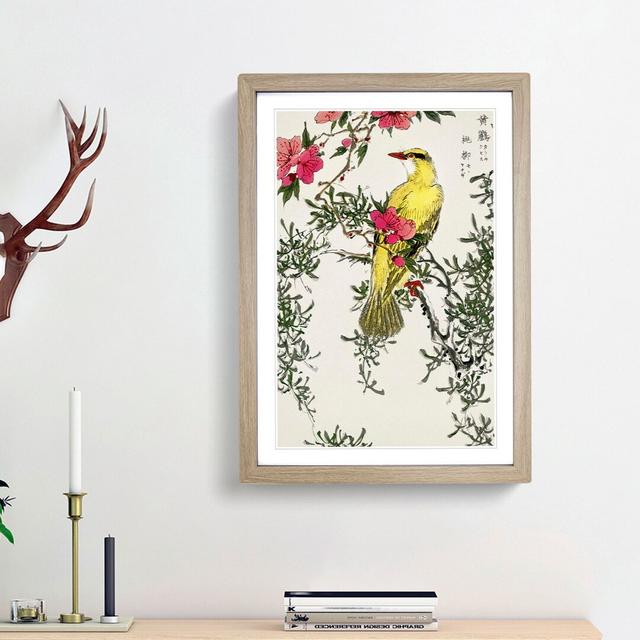 Bush-Warbler & Drooping Peach by Numata Kashu - Picture Frame Art Print East Urban Home Frame Option: Oak Framed, Size: 36cm H x 27cm W x 2cm D on Productcaster.