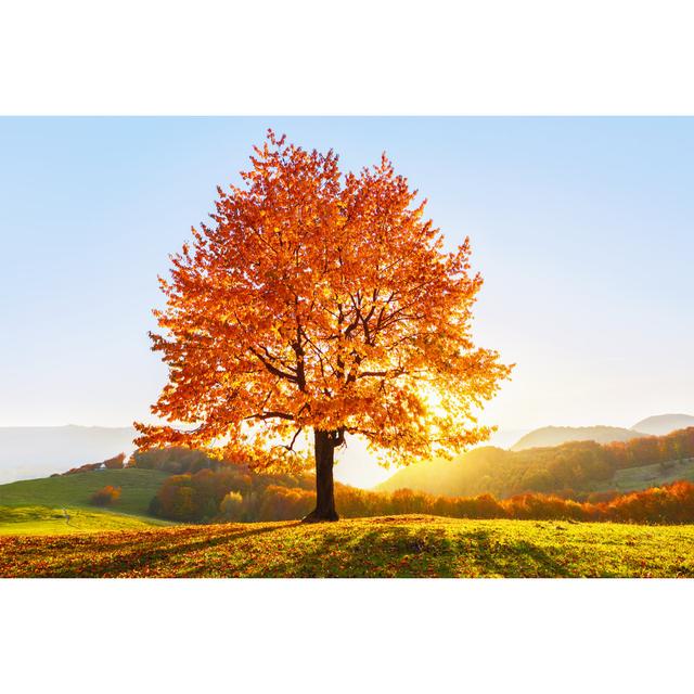 Beautiful Autumn Scenery by - Wrapped Canvas Photograph 17 Stories Size: 20cm H x 30cm W on Productcaster.