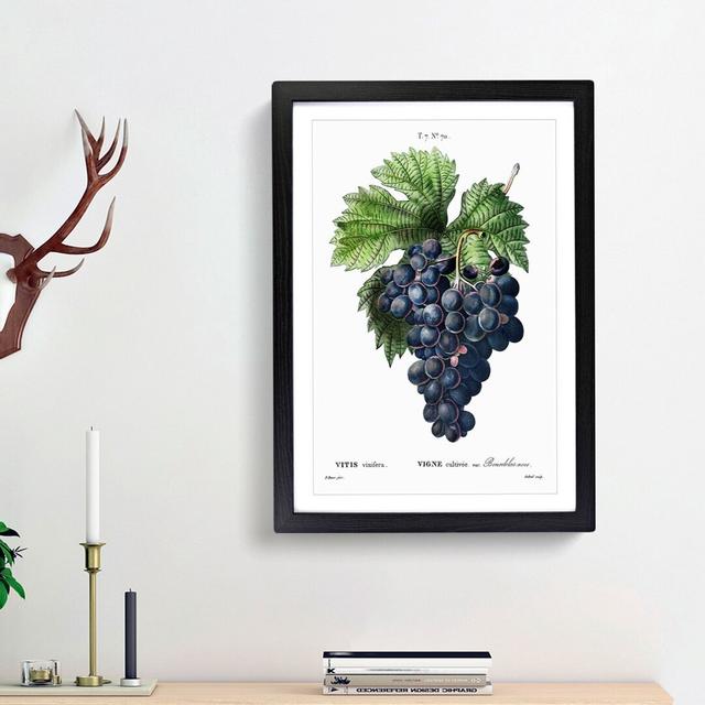 Blue Grapes by Pierre-Joseph Redoute - Picture Frame Graphic Art Print East Urban Home Frame Option: Black Framed, Size: 36cm H x 27cm W x 2cm D on Productcaster.