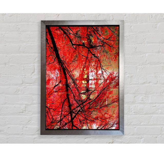 Red Autumn Trees - Single Picture Frame Art Prints Bright Star Size: 118.9cm H x 84.1cm W x 3.4cm D on Productcaster.