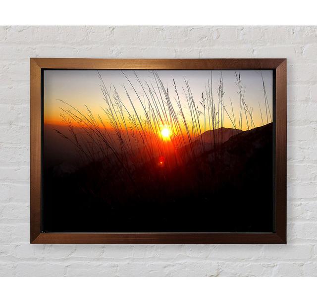 Dusk Through The Reeds Framed Print Union Rustic Size: 100cm H x 141.1cm W on Productcaster.