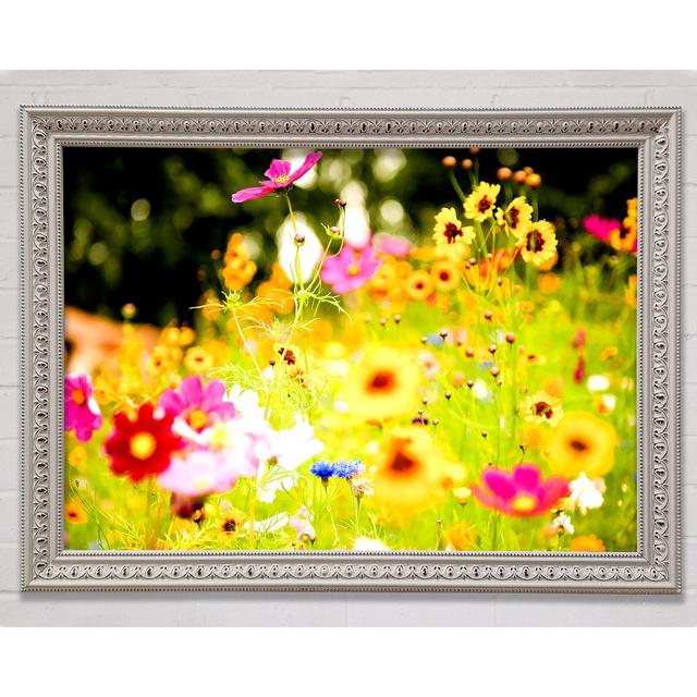 Single Picture Frame Art Prints Ebern Designs Size: 84.1cm H x 118.9cm W on Productcaster.