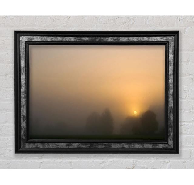 Foggy Day - Single Picture Frame Art Prints Bright Star Size: 21cm H x 42cm W x 8cm D on Productcaster.