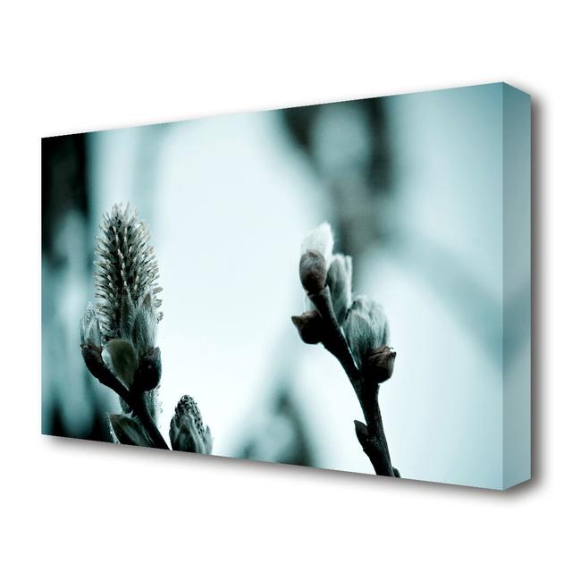 Winter Snow Flowers Flowers Canvas Print Wall Art East Urban Home Size: 50.8 cm H x 81.3 cm W on Productcaster.