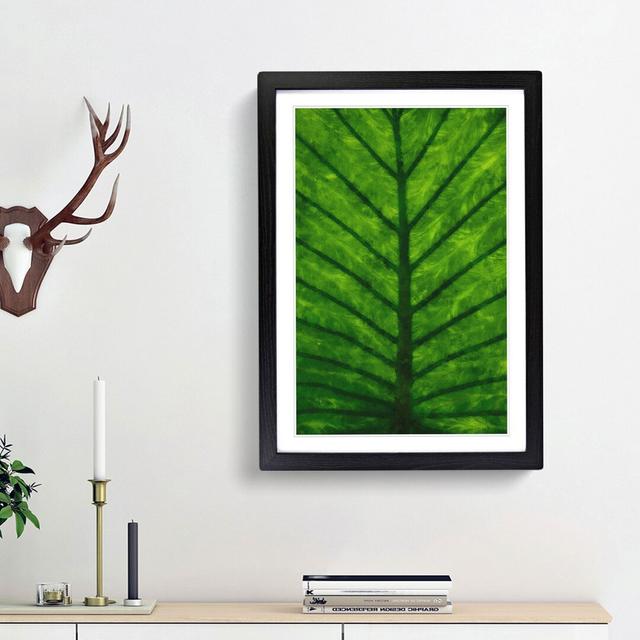 Green Leaf Lines - Picture Frame Painting Print East Urban Home Size: 63cm H x 45cm W x 2cm D, Frame Option: Black Framed on Productcaster.