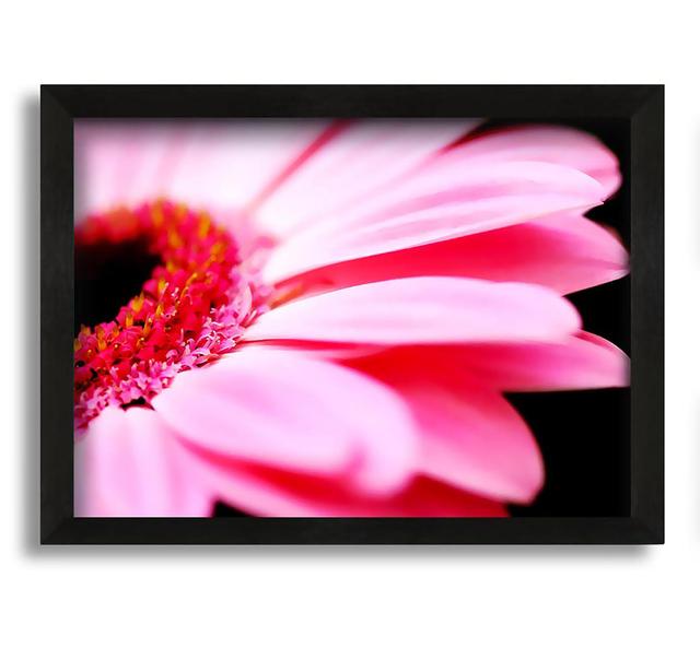 Pink Gerbera Close-Up - Picture Frame Graphic Art on Canvas Brayden Studio Size: 21cm H x 30cm W x 10cm D on Productcaster.