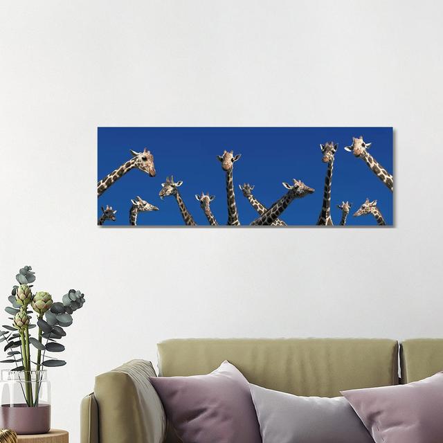 Curious Giraffes (Concept) Kenya Africa - Wrapped Canvas Panoramic Print Ebern Designs Size: 40.64cm H x 121.92cm W x 3.81cm D on Productcaster.