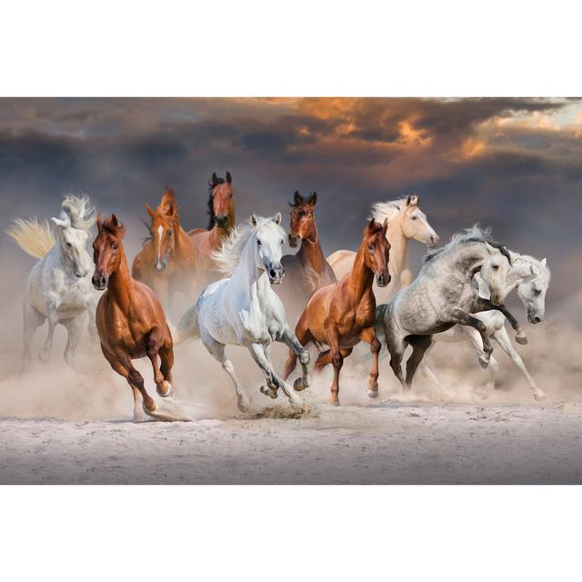 Horse Herd Run by Callipso - Wrapped Canvas Print Natur Pur Size: 51cm H x 76cm W on Productcaster.