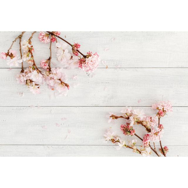 Pink Cherry Blossoms by Skarau - Wrapped Canvas Photograph 17 Stories Size: 30cm H x 46cm W on Productcaster.