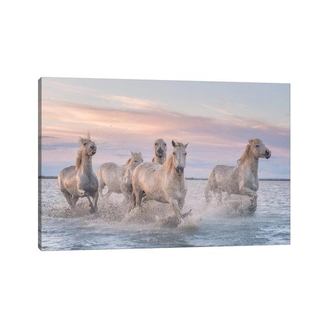 White Angels of Camargue XXXI by Daniel Kordan - Photograph Print on Canvas Latitude Run Format: Wrapped Canvas, Size: 45.72cm H x 66.04cm W x 1.91cm on Productcaster.