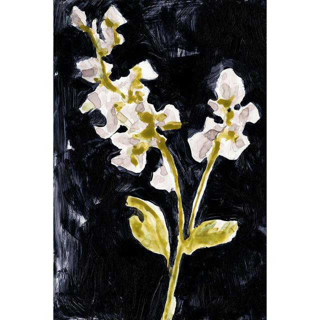 Midnight Phlox I - Wrapped Canvas Art Prints Rosalind Wheeler Size: 46cm H x 30cm W x 3.8cm D on Productcaster.