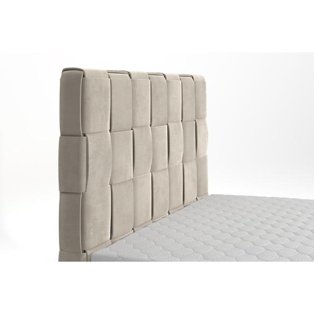 Echtes Boxspringbett Sade mit Premium Visco Topper, mit Samtstoff bezogen Canora Grey Größe: 160 x 200 cm, Matratzenhärte: H2 - bis zu ca. 75 kg / H4 on Productcaster.