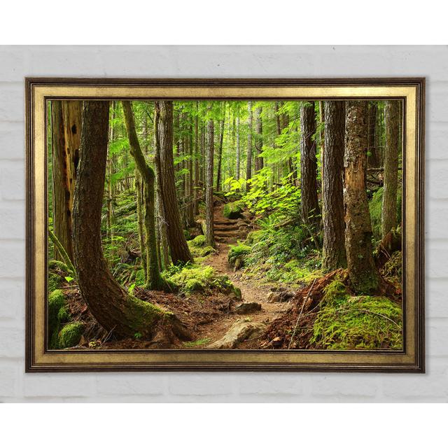 Green Up Hill Forest Walk - Print Alpen Home Size: 84.1cm H x 118.9cm W x 1.5cm D on Productcaster.