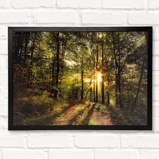 Forest In Late Afternoon - Closed Corner Frame Art Prints on Wood Latitude Run Size: 21cm H x 29.7cm W on Productcaster.