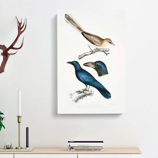 Jay & Crow Illustrations by John Edward Gray - Wrapped Canvas Painting Print East Urban Home Size: 60cm H x 40cm W x 3cm D on Productcaster.