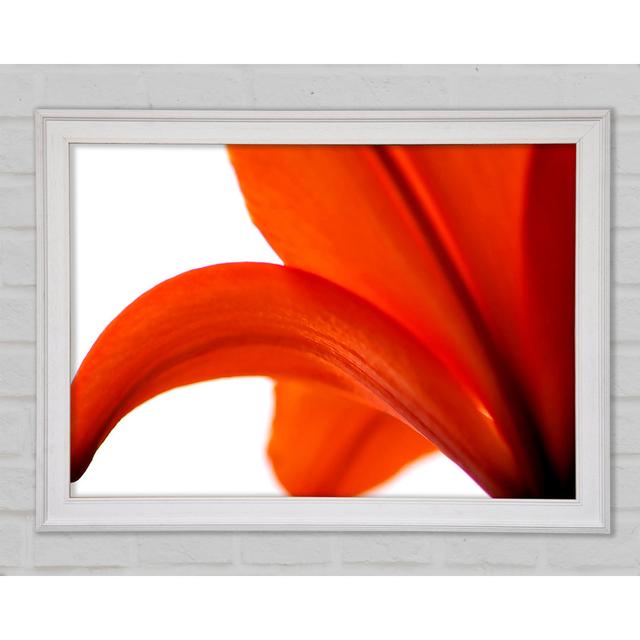 Lily On White Background Framed Print Bright Star Size: 59.7cm H x 84.1cm W x 1.5cm D on Productcaster.