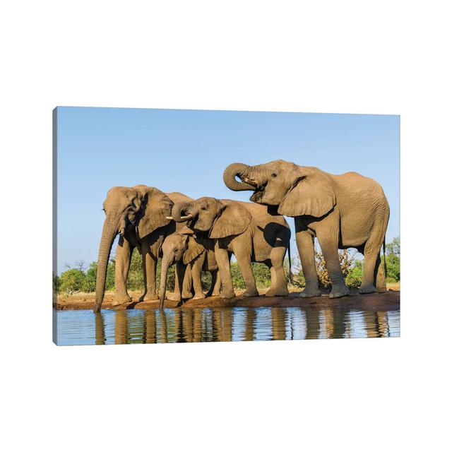 View of Elephant Family at Water Hole, Botswana, Africa - Wrapped Canvas Photograph Latitude Run Size: 66.04cm H x 101.6cm W x 3.81cm D on Productcaster.