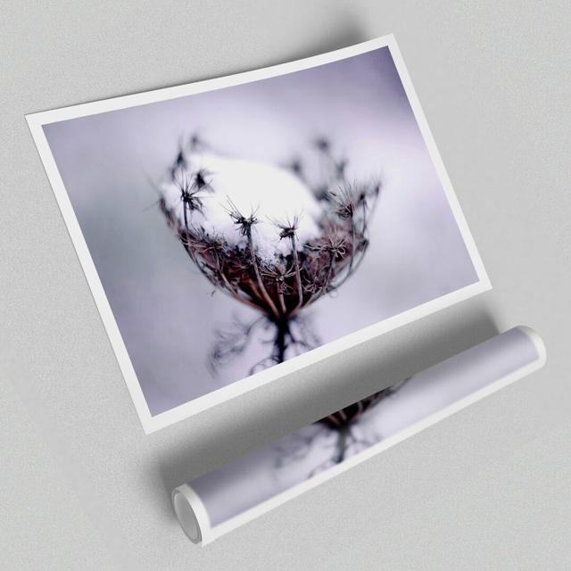 Single Winter Flower' - Unframed Photographic Print on Paper East Urban Home Size: 84.1 cm H x 118.9 cm W on Productcaster.