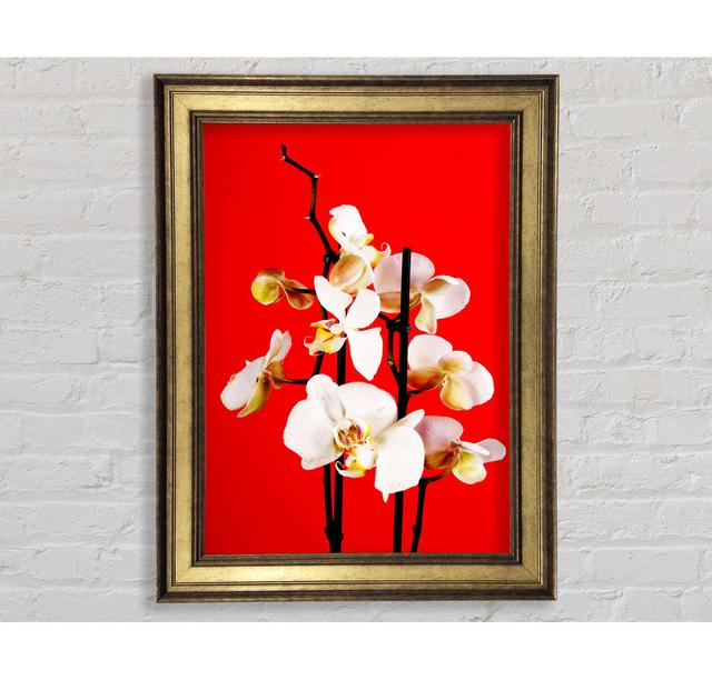 White Orchard Beauty On Red - Single Picture Frame Art Prints Bright Star Size: 42cm H x 29.7cm W x 8cm D on Productcaster.