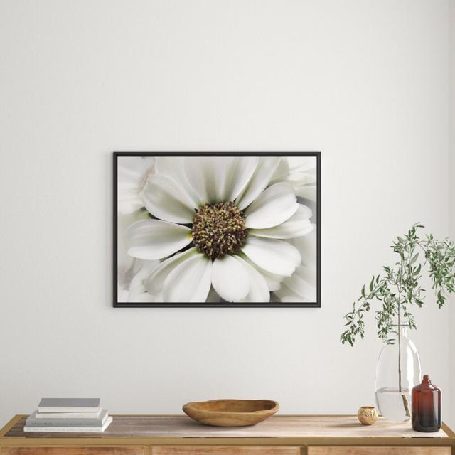 Kleine zarte weiße Blume Gerahmter Fotodruck East Urban Home Größe: 70 cm H x 100 cm B, Matte Farbausführung: Nicht matt on Productcaster.