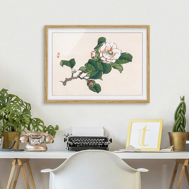 Asian Vintage Drawing Apple Blossom - Picture Frame Graphic Art Rosalind Wheeler Frame Option: Brown, Size: 50cm H x 70cm W x 2cm D on Productcaster.