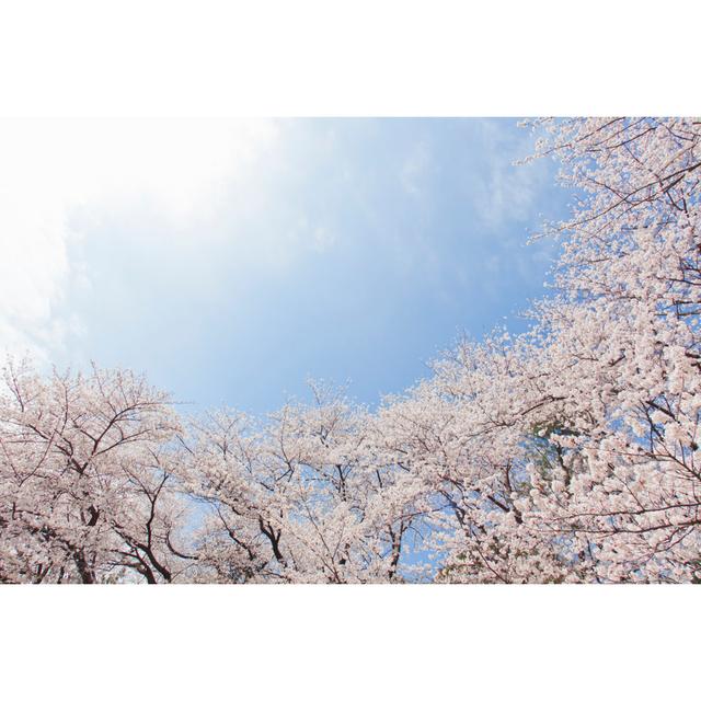 Cherry Tree by Mygtree - Wrapped Canvas Print Latitude Run Size: 81cm H x 122cm W on Productcaster.