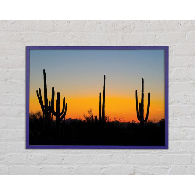 Cactus Sunset - Single Picture Frame Art Prints Gracie Oaks Size: 21cm H x 29.7cm W x 2cm D on Productcaster.