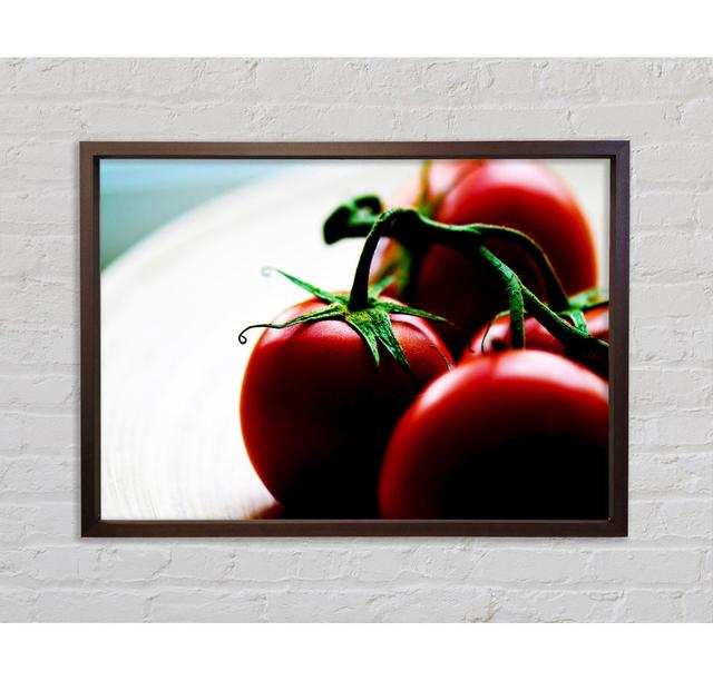 Tomato Stalk - Single Picture Frame Art Prints on Canvas Bright Star Size: 84.1cm H x 118.9cm W x 3.3cm D on Productcaster.