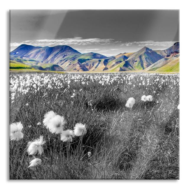 Alpine Meadow on a Summer's Day - Unframed Photograph on Glass Union Rustic Size: 80cm H x 80cm W x 0.4cm D on Productcaster.