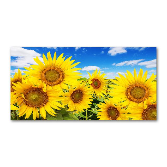 Sonnenblumen - Ungerahmte Kunstdrucke auf Leinwand Sommerallee on Productcaster.