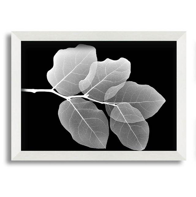 Winter Leaf - Single Picture Frame Art Prints Ebern Designs Size: 21cm H x 29.7cm W on Productcaster.