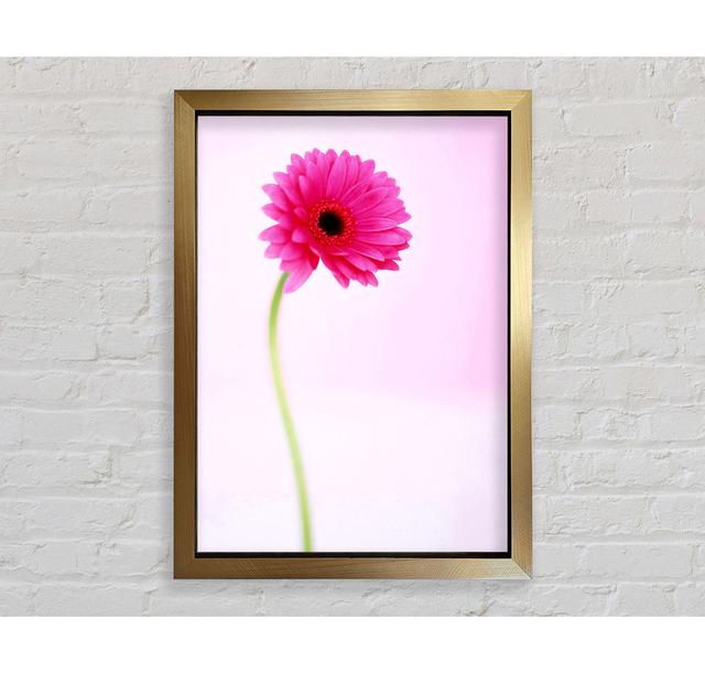 Pink On Pink Gerbera - Single Picture Frame Art Prints Bright Star Size: 141.4cm H x 100cm W x 3.4cm D on Productcaster.