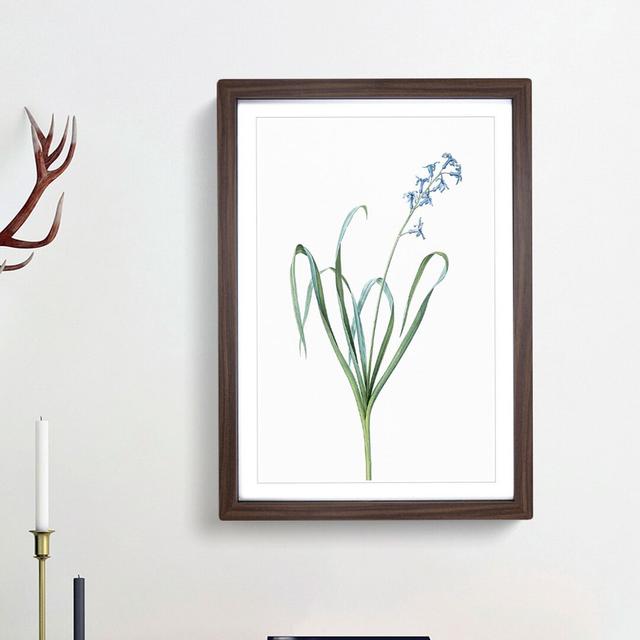 Dutch Hyacinth by Pierre-Joseph Redoute - Picture Frame Painting Print East Urban Home Frame Option: Walnut Framed, Size: 36cm H x 27cm W x 2cm D on Productcaster.