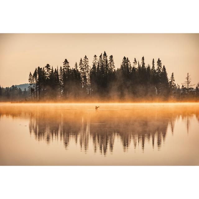 Misty Sunrise At Lake by Benedek - No Frame Art Prints on Canvas Alpen Home Size: 51cm H x 76cm W on Productcaster.