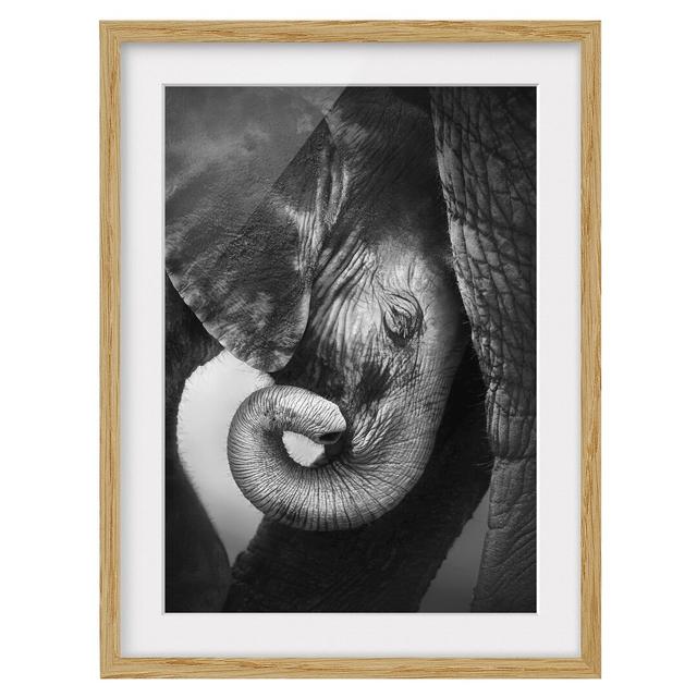 Mother Love Framed Photograph East Urban Home Rahmenoptionen: Natural oak, Size: 70cm H x 50cm W on Productcaster.