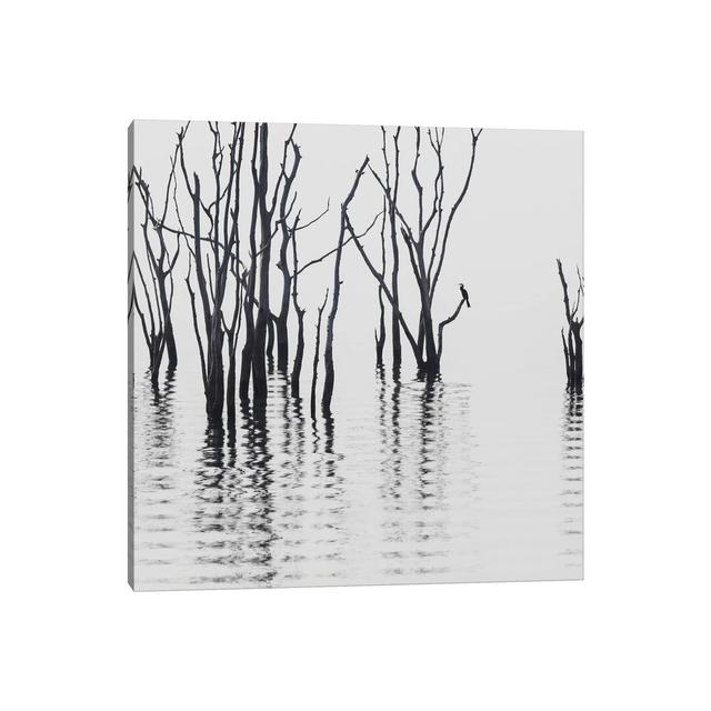 Africa, Zimbabwe, Matusadona National Park. Reflections on Lake Kariba by Jaynes Gallery - Wrapped Canvas Painting Latitude Run Size: 45.72cm H x 45.7 on Productcaster.